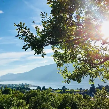 T3 ,100m2, Centre Ville, Classe 3 Etoiles Apartman *