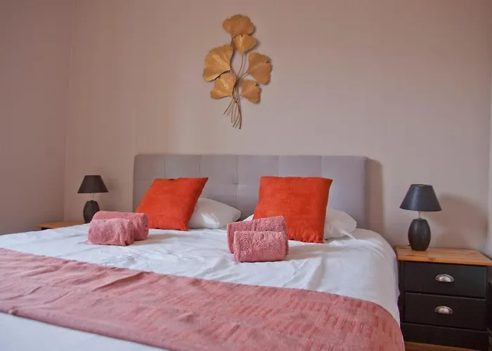 T3 ,100m2, Centre Ville, Classe 3 Etoiles Apartment Aix-les-Bains